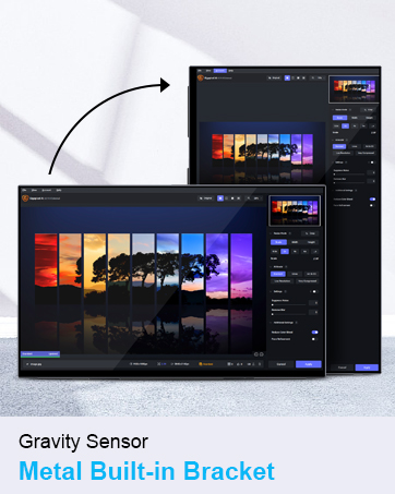 Gravity Sensor 